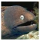 Osobní profil